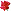 Kwiatek